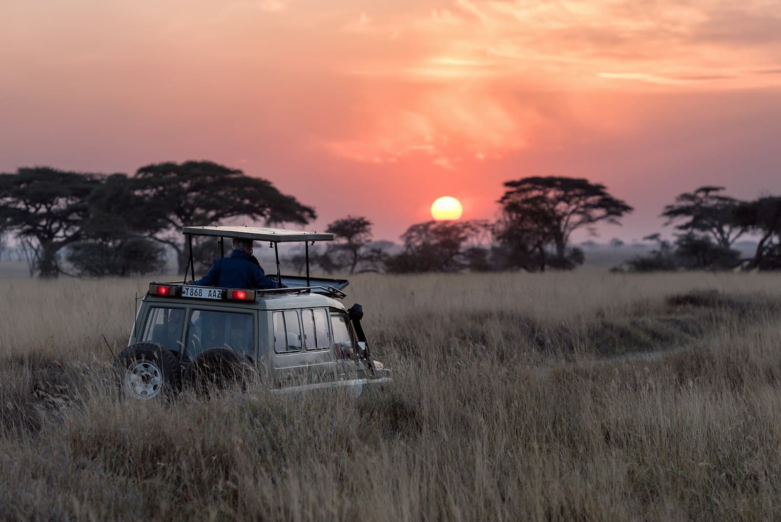 Wildlife & Nature tours